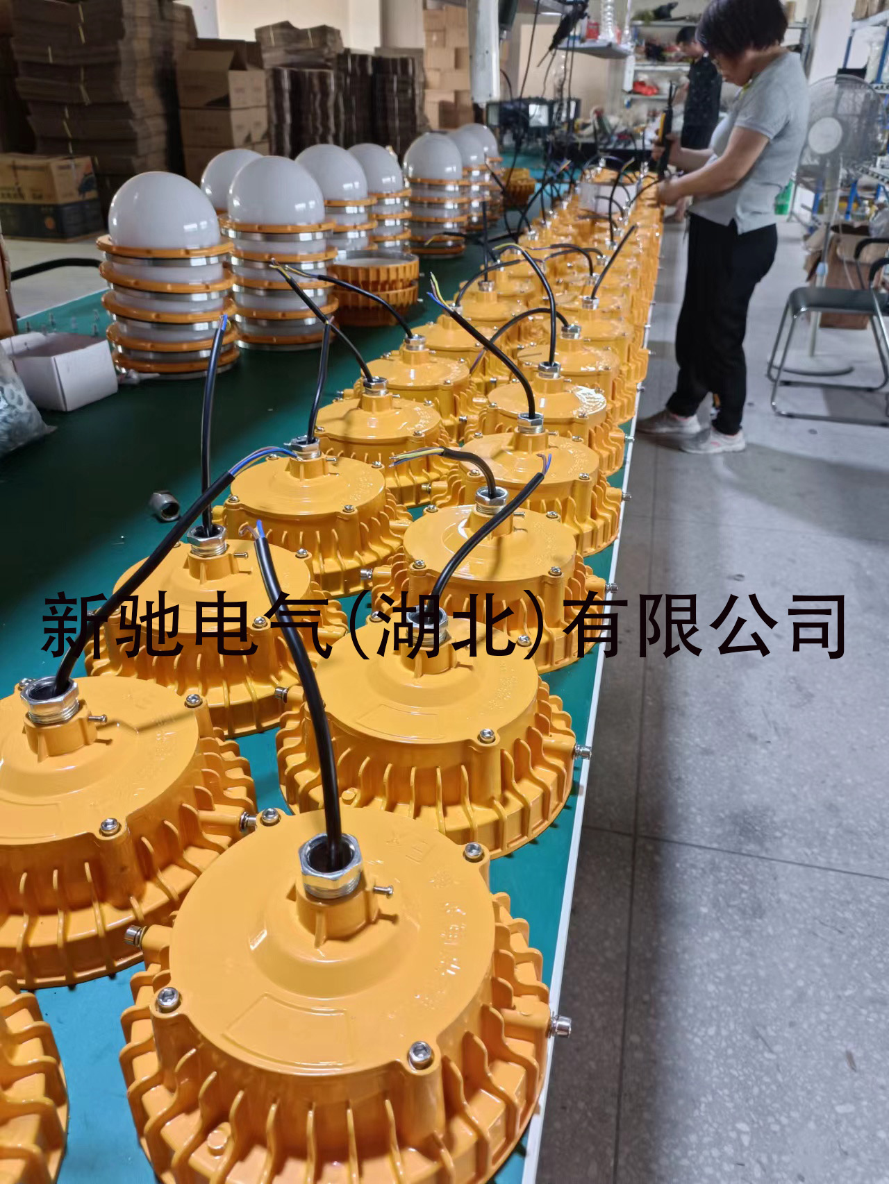 8085.jpg 8085.jpg