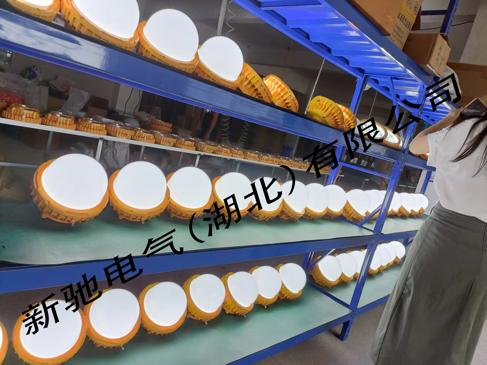 803.jpg 803.jpg