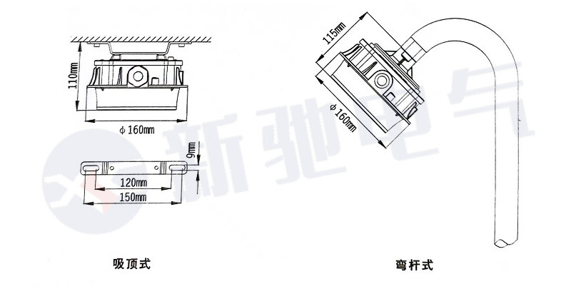 BLC8762-2.jpg BLC8762-2.jpg