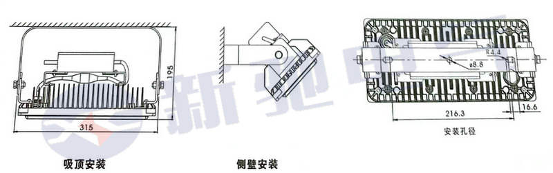 NFC9281-10.jpg