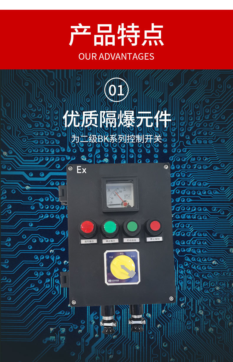 BXK8050防爆防腐控制箱